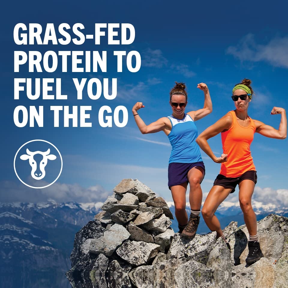 image:imageOrgain 20g Clean Grass Fed High Protein Shake Chocolate 11 oz 12pkVanilla