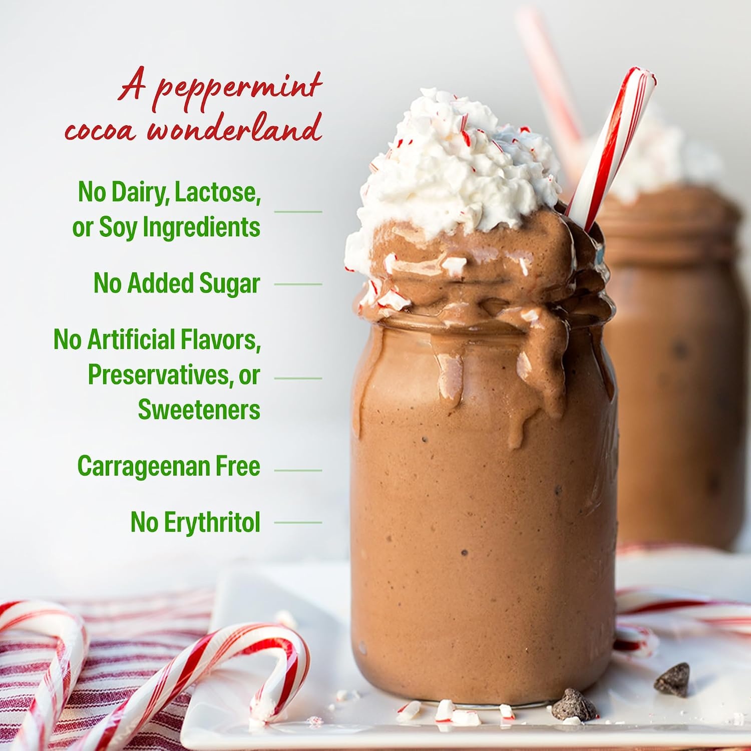 image:imageOrgain Organic Vegan 21g Protein Powder Peppermint Hot Cocoa 102 lb102 Pound Pack of 1